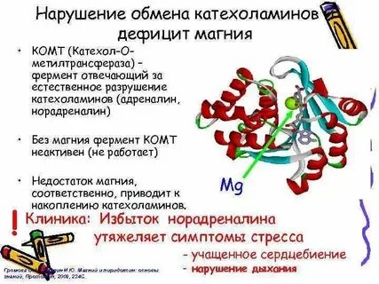 Разрушение ферментов