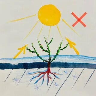 Снег отражает свет