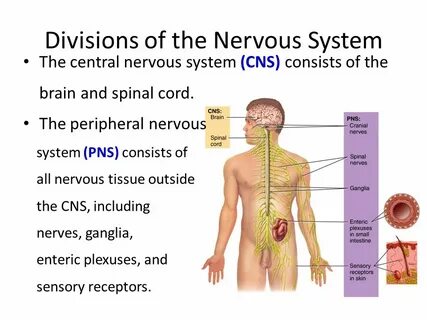 Nervous перевод