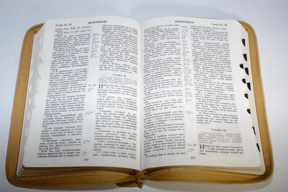 Канонический текст библии. Библия с золотым обрезом. Терновый венец и Библия. Закладка для Библии. Библия каноническая большого формата 075 ZTI.