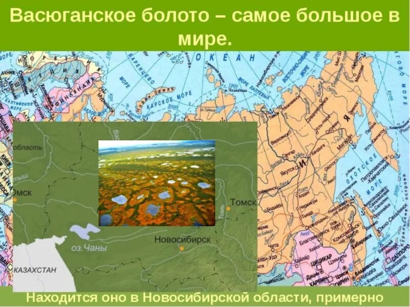 Карта болотистых. Большое Васюганское болото на карте России. Карта Сибири Васюганское болото. Васюганские болота на карте России. Васюганская равнина на карте Западной Сибири.