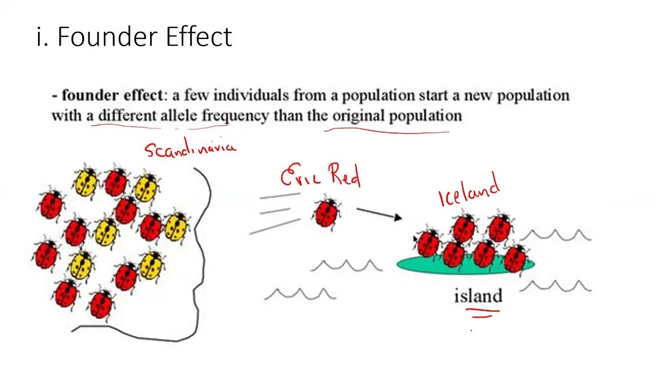 Gene effect