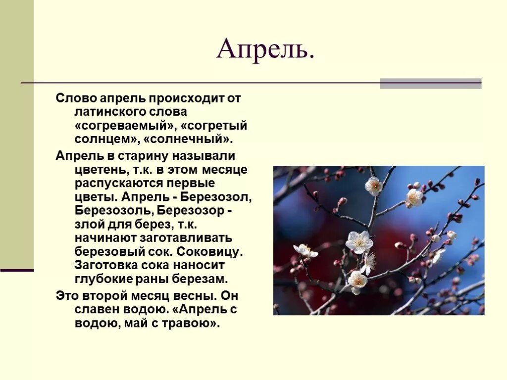 Апрель название месяца. Почему апрель так называется. Происхождение апреля. Как произошло название месяца апрель. Апрель красивые слова