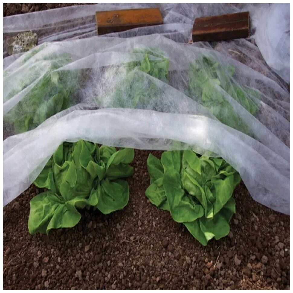 Спанбонд рулон №60 3,2м рулон 150м. ) белый укрывной. Лутрасил 60. Спанбонд белый 30 г/м2, 3,2x10 м. ) белый укрывной.