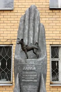 Памятник собаке лайке