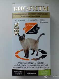 Какие витамины для кошек