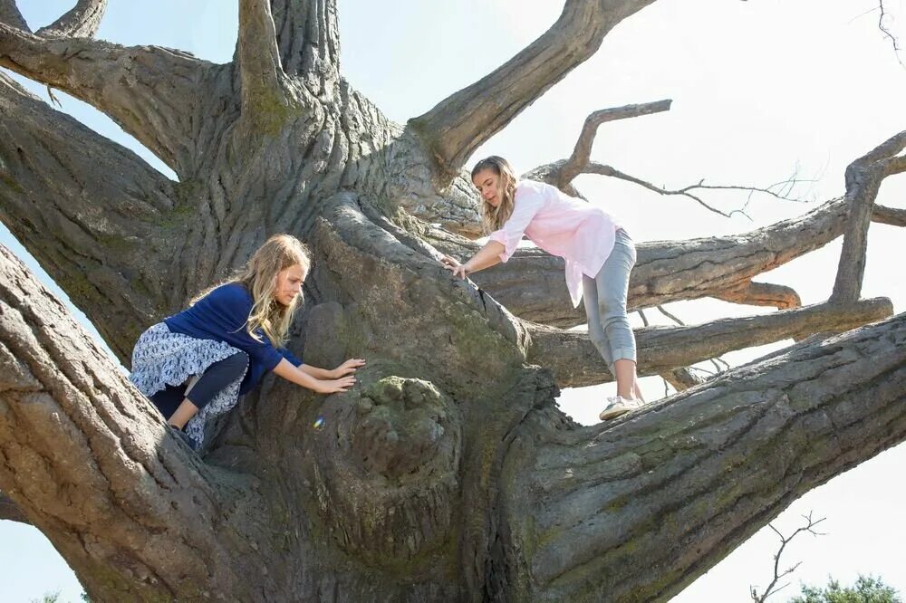 чудеса с небес бога. чудеса с небес бога. кортни фанслер. кайли роджерс чудеса с небес. чудеса с небес бога.