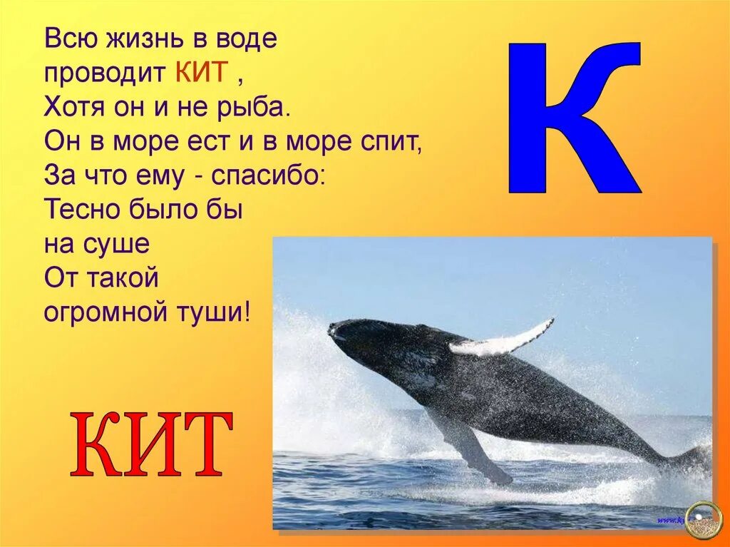 Море еще спало ответы. Загадка про кита. Стихи про китов. Загадки про китов. Стих про кита.