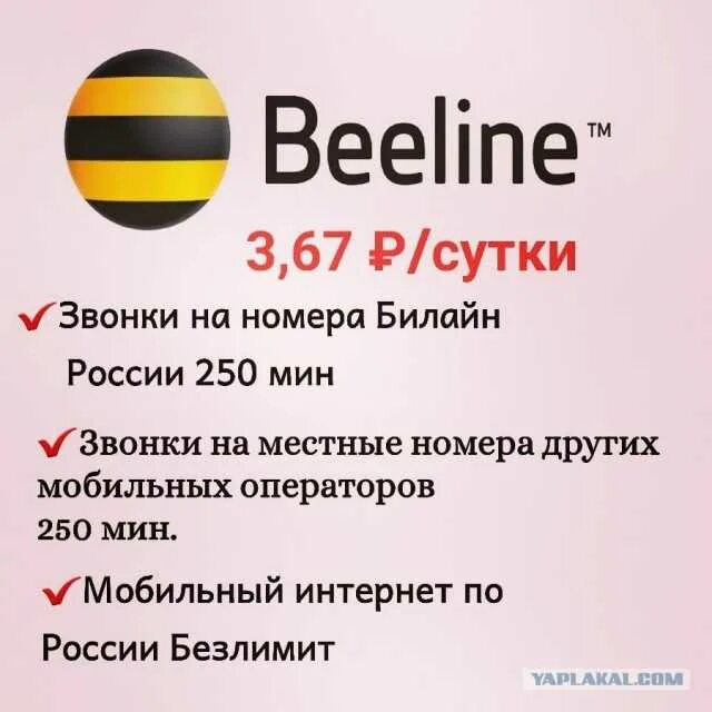 Тарифы Билайн с безлимитным интернетом для телефона. Beeline безлимитный интернет. Номер Билайн. Оператор Билайн номер.