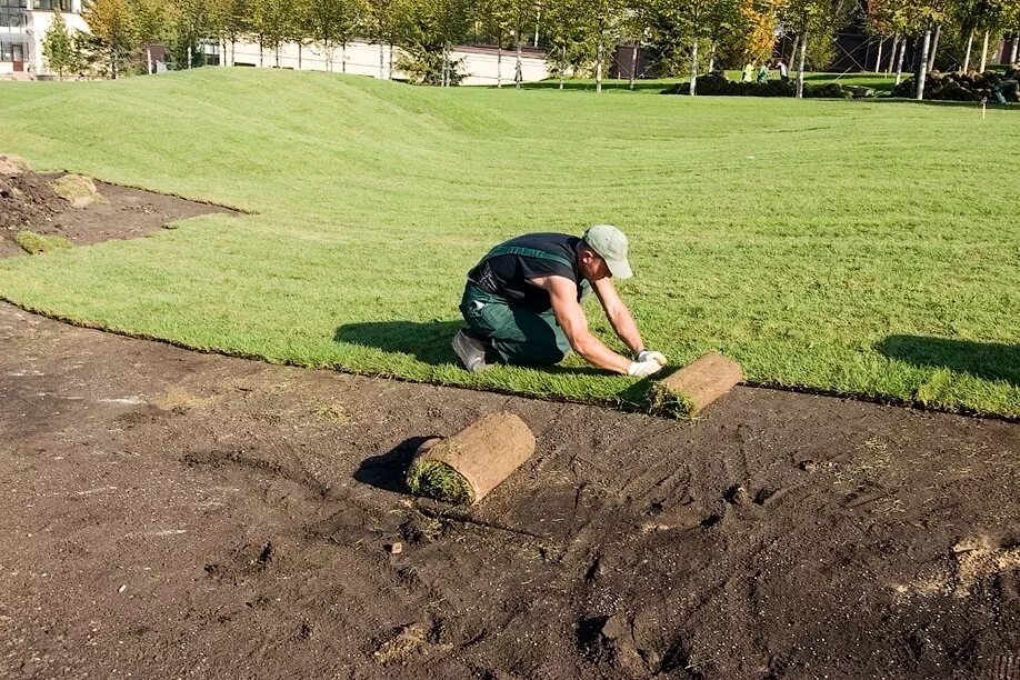 Весенние работы в саду и огороде. Благоустройство дачного участка. Работы выполняемые на участке. Мэтью чайлдс ландшафтный дизайнер. Ландшафты дачных участков.