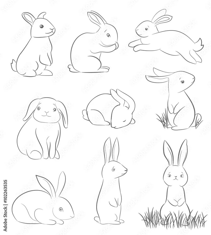 Rabbit set