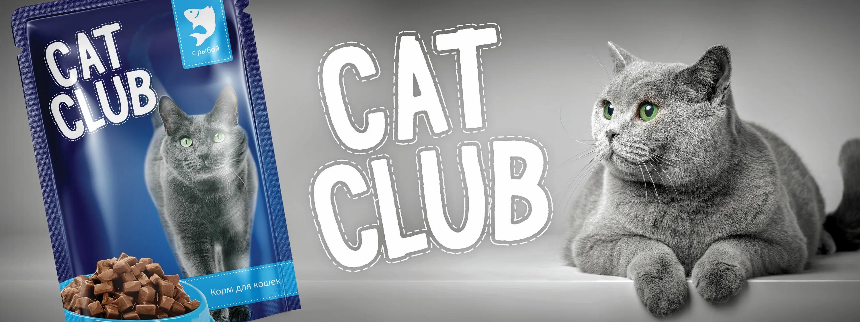 Реклама кошачьего. Корм для кошек реклама. корм для кошек некоама. cat club корм для кошек. баннер корм для котов.
