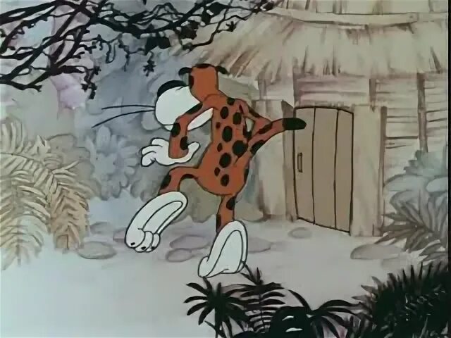 Дом для леопарда. Дом для леопарда 1979. домик для леопарда.