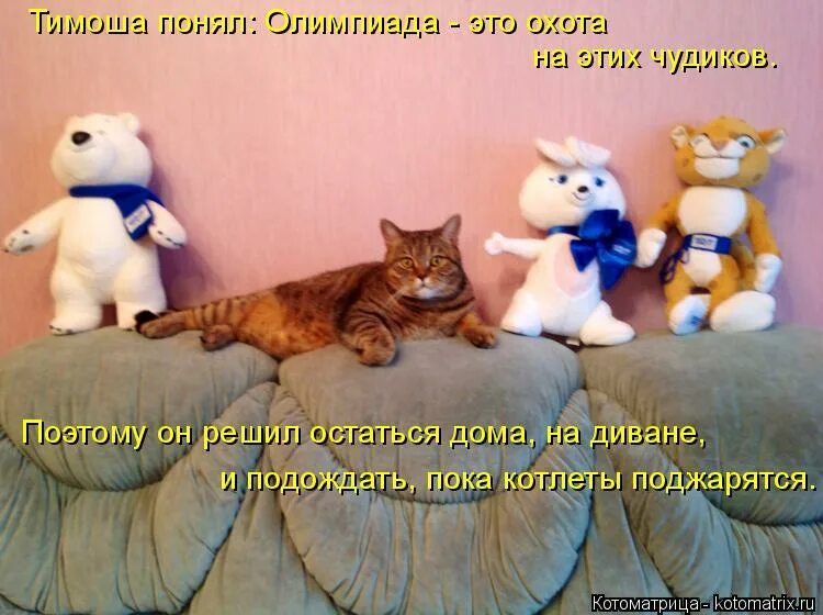 потом меня в этом одеяле в трех барах видели. ребенок у окна. олимпийский котик. решили остался дома. анекдоты про плед.