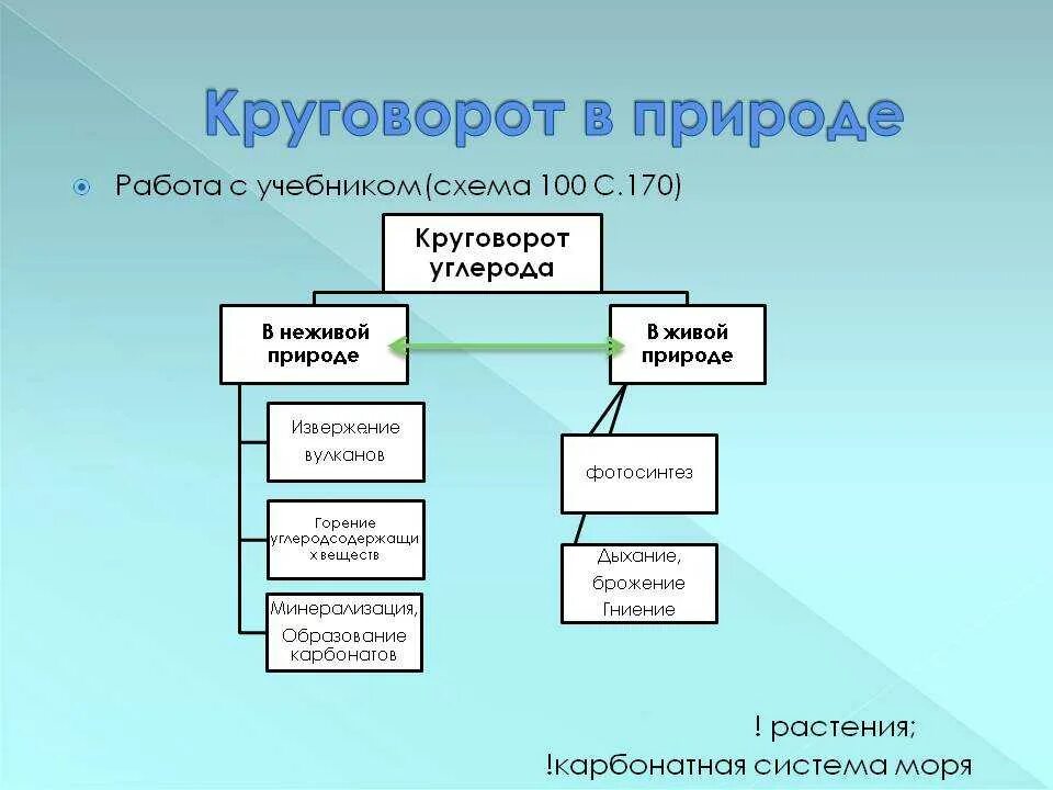 Этап круговорота углерода в биосфере. Биологический круговорот углерода схема. Круговорот углерода схема. Составьте схему круговорота углерода. Круговорот углерода в природе.