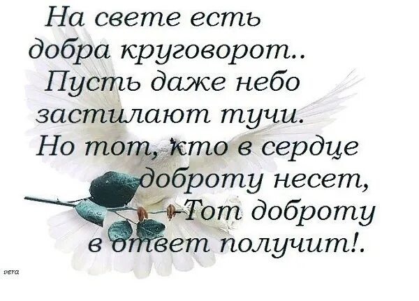 На свете есть добра круговорот. Цитаты про добро и свет. Несите людям добро. Пусть люди будут добрее. Добро снять