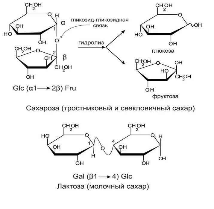 Фруктоза продукт гидролиза. Схема гидролиза сахарозы. Гидролиз сахарозы реакция. Гидролиз сахарозы. Лактоза с диметилсульфатом реакция.