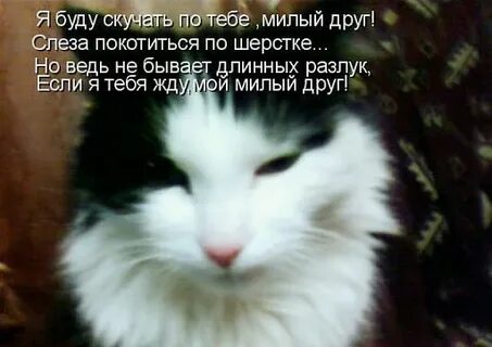 Я буду долго по тебе скучать