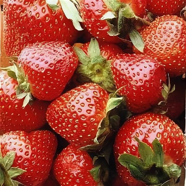 Дубовое ягодная 5. Губы с фруктами. Qulpinoy bozori. Ягодная 5. Заводская ул.