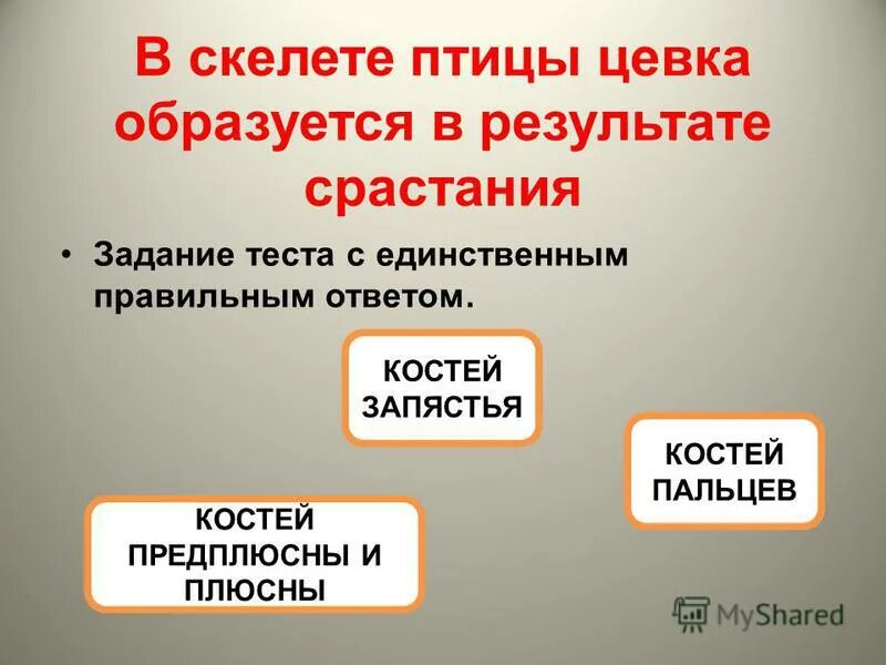 В скелете птиц произошло срастание многих костей. Опорно двигательная система птиц. опорно-двигательная система птиц тест. результат цевкой.