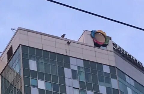 Сан сити новосибирск новости