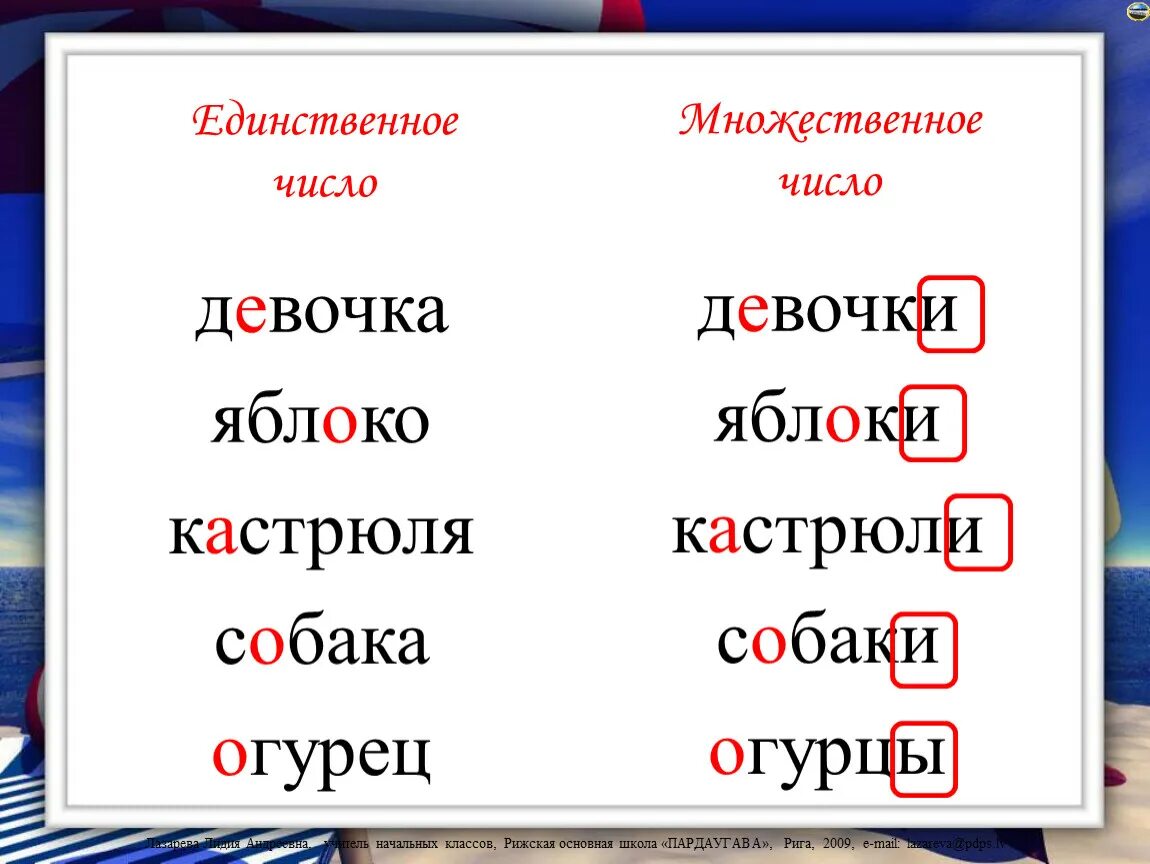 Единственное и множественное число. Единственное число и множественное число. Слова в единственном и множественном числе. Ед число и множественное число. Множественное слово год