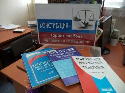 Институт является гарантом конституции