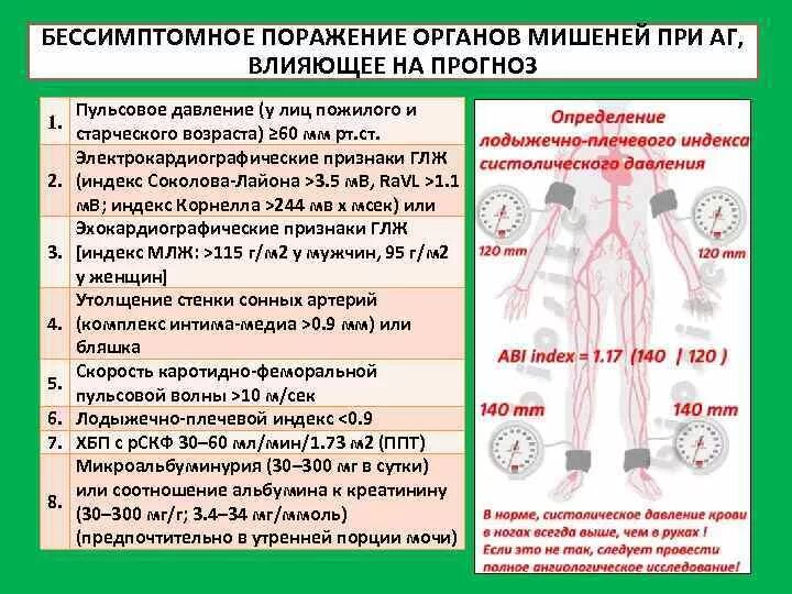 Симптомы поражения органов. Поражение органов мишеней при гипертонической болезни. Бессимптомное поражение органов мишеней. Поражение органов мишеней при ГБ. Бессимптомное поражение органов мишеней при АГ.