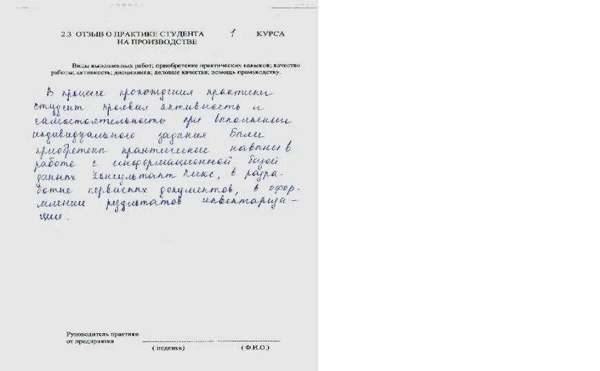 Отзыв о работе студента пример. Отзыв об учебной практике студента пример. отзыв о прохождении практики от руководителя. отзыв руководителя о практике студента. отзыв по практике от руководителя предприятия.