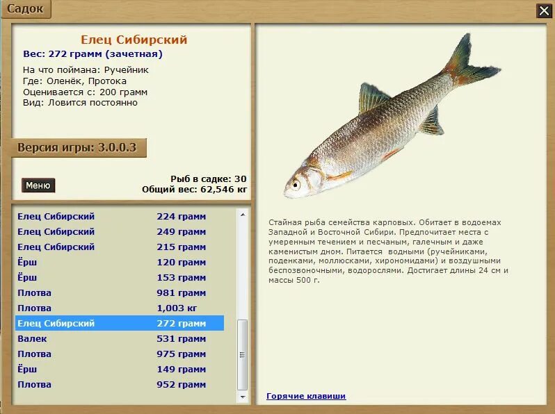 Русская рыбалка 3. Русская рыбалка 376 свирь сырть. На что ловить зачетную рыбу. Где ловят скумбрию. Деревенские просторы карась серебряный.