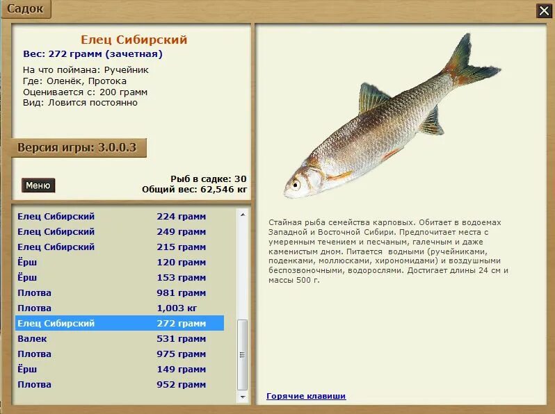 Русская рыбалка поймать рыбу. Елец рыба на что ловить. Русская рыбалка 3 на что клюет рыба. Рыбы в игре русская рыбалка 3. На что клюет рыба Елец.
