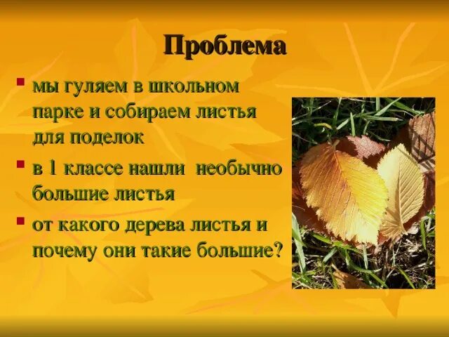 Раз два три будем листья собирать. Раз два три будем листья собирать