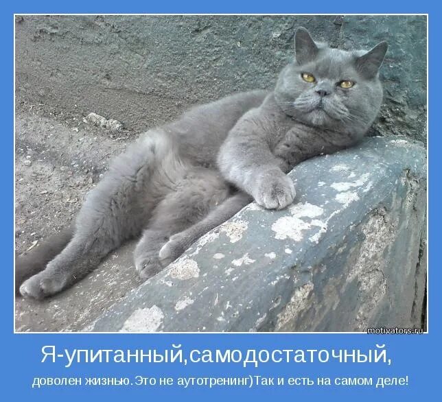 Человек не бывающий довольным. Самодостаточный человек. самодостаточность картинки. самодостаточный мужчина прикол. я самодостаточная личность.