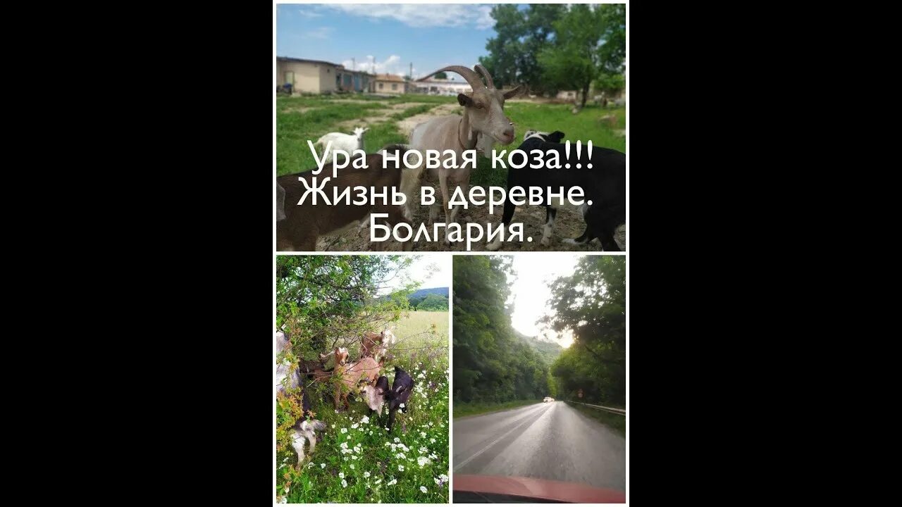 Ура молодцы. Ура садитесь. Смайлик ура. Фон для презентации ты молодец. Дача карикатура.