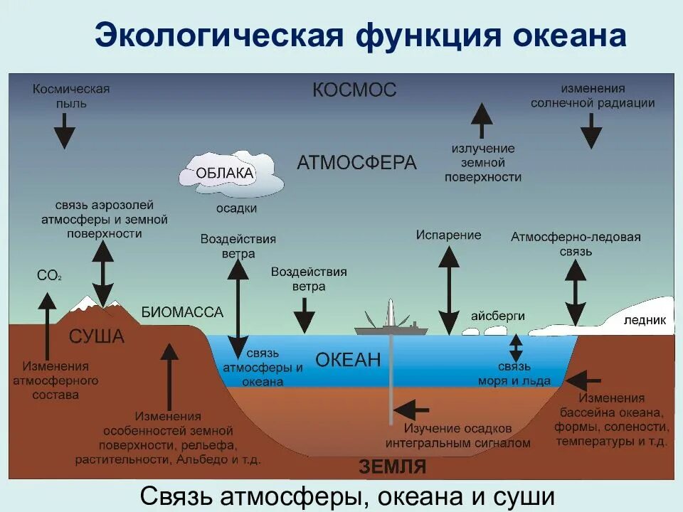 На сколько поднимается мировой океан. Важность мирового океана. Взаимодействие океана и атмосферы. Экологическое значение океана. Функции мирового океана.