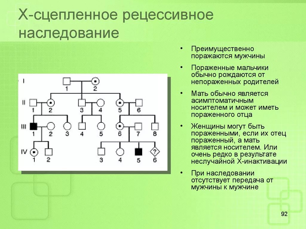 Х сцеплено рецессивно наследуется