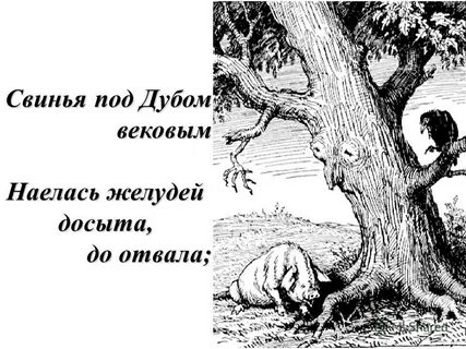 Под дубом 1 5