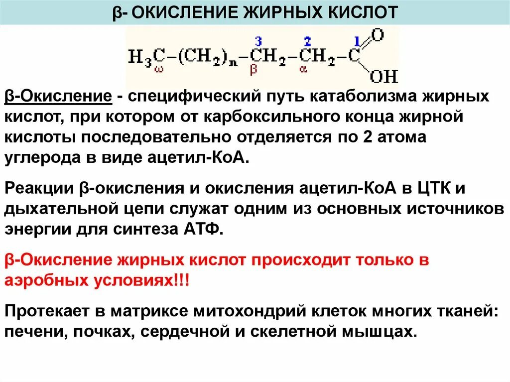 Реакции бета окисления жирных кислот. Реакции β-окисления жирных кислот. Этапы окисления жирных кислот биохимия. Регуляция b окисления жирных кислот. Аэробное окисление веществ