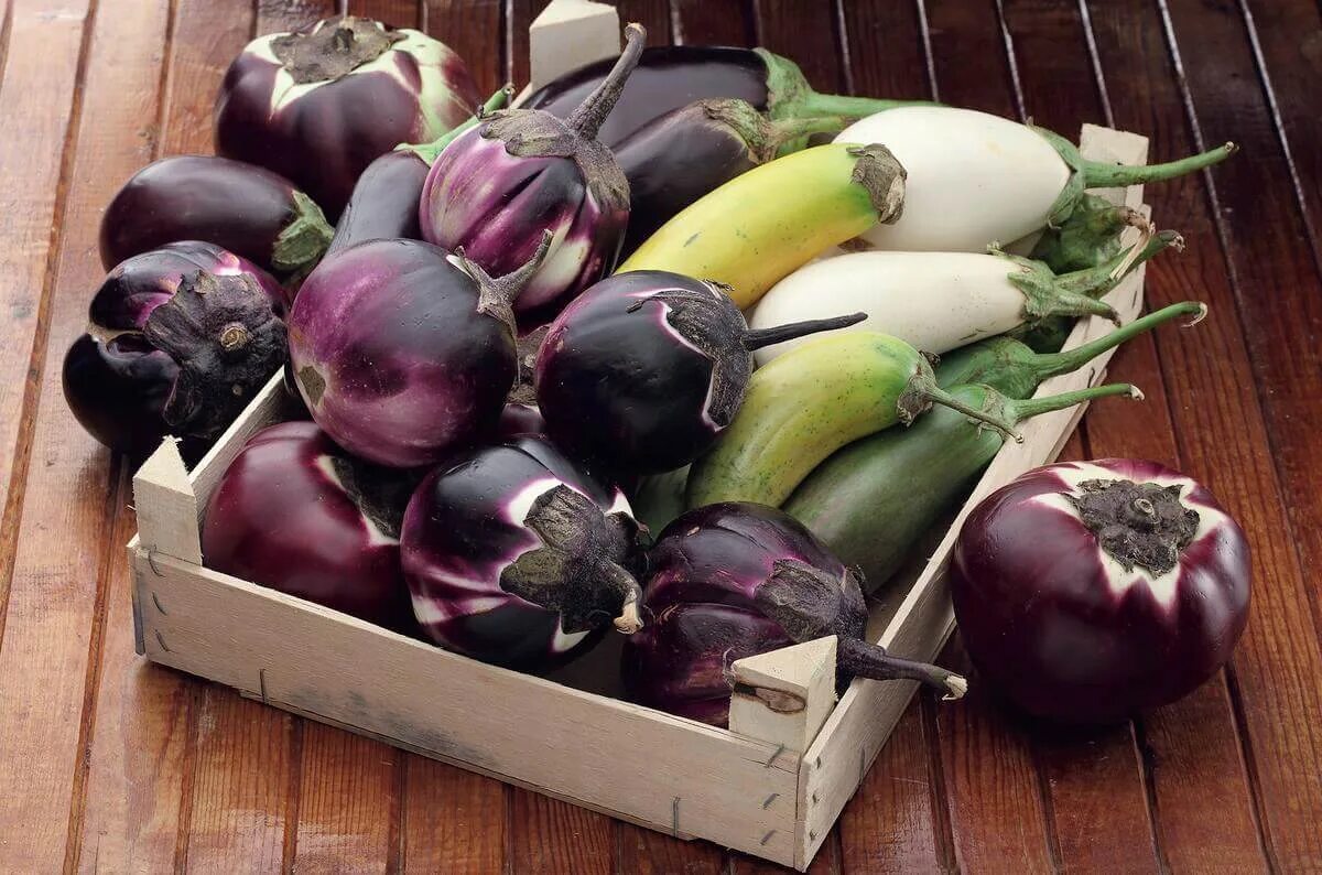 Benefits of Brinjal.Eggplant, also popular as brinjal, is one of the very low-ca