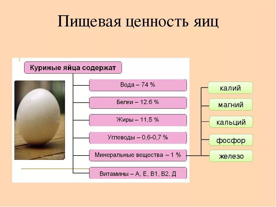 Сколько белков и жиров в яйце. Яйцо куриное состав и пищевая ценность. Пищевая ценность кур яиц куриных. Питательные вещества в курином яйце. Ценность куриного яйца.