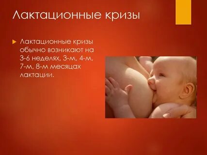 Лактационный период это