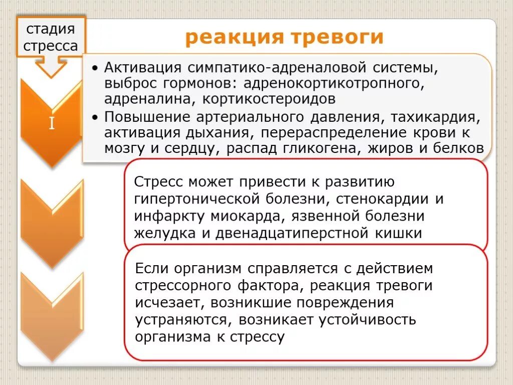 Фазы стрессовой реакции