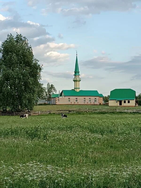 түбән ушмы яңалыклары. таулык тукаевский район. түбән ушмы яңалыклары. объекты города мамадыш. түбән ушмы яңалыклары.