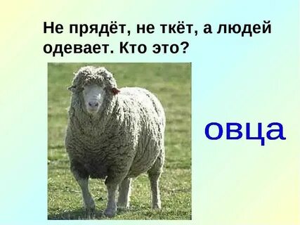 Слова со слова барашек