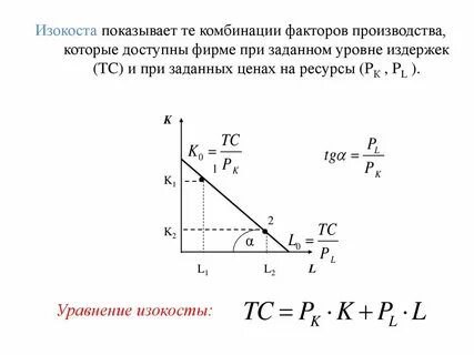 Изокоста это в экономике