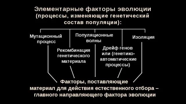 Элементарные факторы эволюции мутационный процесс. Элементарные эволюционные факторы популяционные волны. Дрейф генов изоляция факторы эволюции. Схема элементарные факторы эволюции.