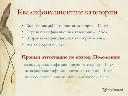 Вторая квалификационная категория