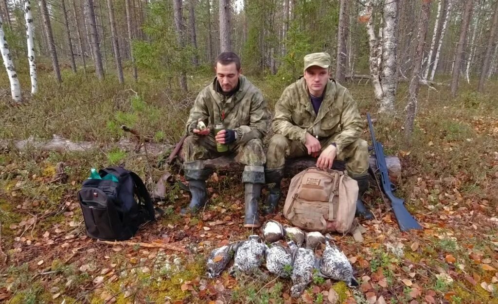 Дичь новосибирск. Лесные птицы дичь. Боровая дичь коми. Дичь новосибирск. Охота на водоплавающую дичь.
