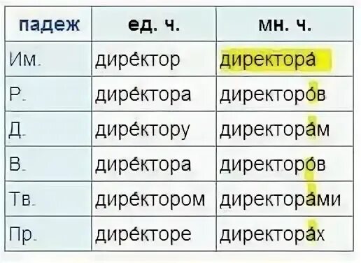 Директор множественное число
