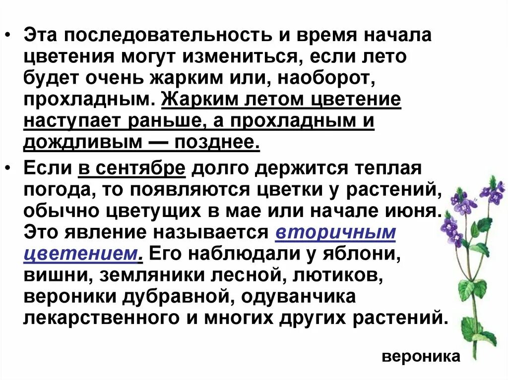 Процесс цветения растений. Заключается процесс цветения. Значение цветения. В чем заключается процесс цветения в жизни растения.